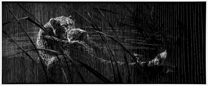 Only Child - Cheetah - Intaglio Print