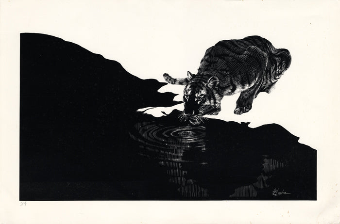 Siberian Tiger - Intaglio Print