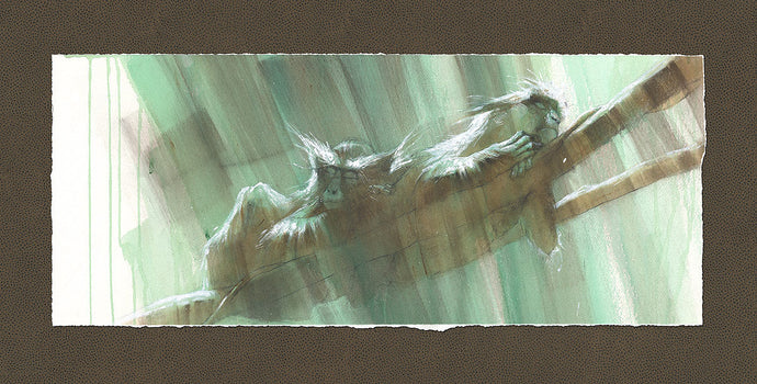 Dreaming on the Equator