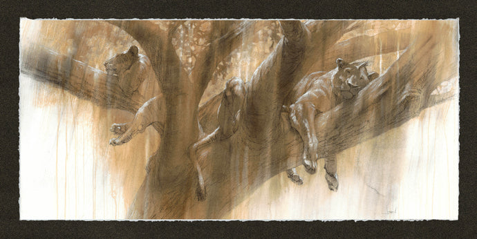 Shared Dreams   (Original)