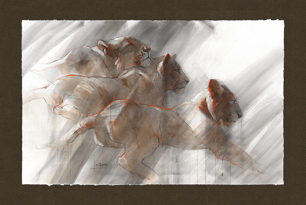 Three Ladies of Savute