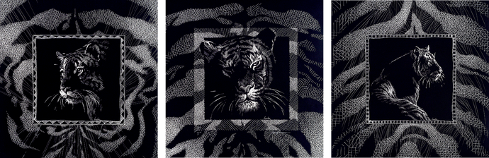 Tiger - Triptych - Intaglio Prints, set of 3