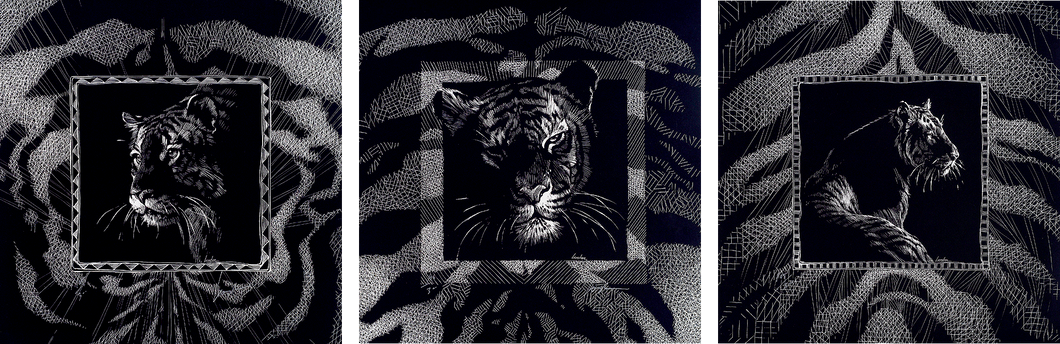 Tiger - Triptych - Intaglio Prints, set of 3