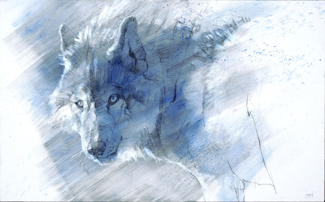 The Better to See You